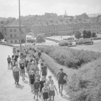 Rynek