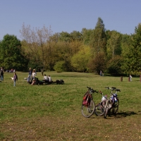 Teren przed grodziskiem