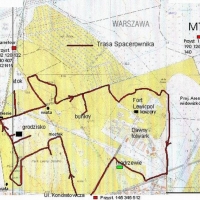 Plan lasu