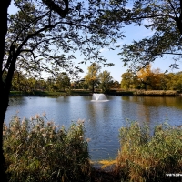 Zdjęcie Park ze Stawami Cietrzewia