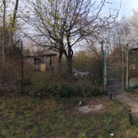 Opuszczone ogrody działkowe
