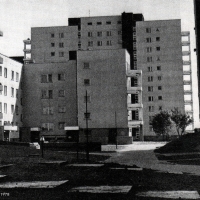 Bacha 34