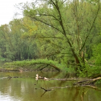 Widok od strony Wisły