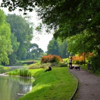 Zdjęcie Park Arkadia