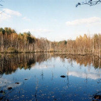 Torfowisko Zielony Ług