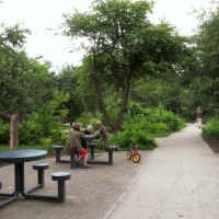 Park w miejscu ogródków