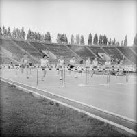 Zawody lekkoatletyczne