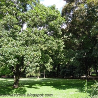 Park - część na skarpie