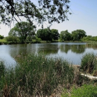 Jezioro Grabowskie