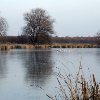 Jezioro Grabowskie