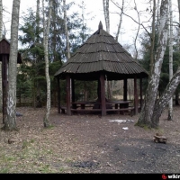 Staw w północno-wschodniej części Lasu