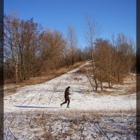 Bochenek w Lasku Bielańskim