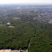 ul. Dewajtis