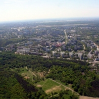 Północna część Lasu Bielańskiego