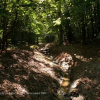 Dolina Potoku Bielańskiego