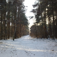 Ścieżka przechodząca od południa