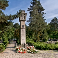Cmentarz w Aleksandrowie