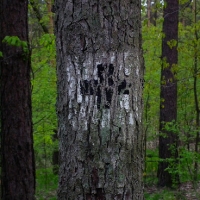 Oznaczenie szlaków do mogił