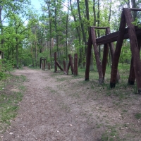 Las Henryków