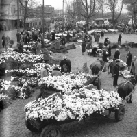 Plac przed bramą główną