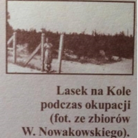 Lasek podczas okupacji