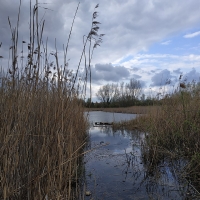 Kanał