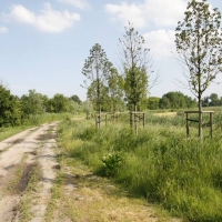 Zarośnięte tereny rekreacyjne