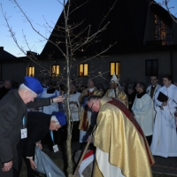 Zadaszenie dębu pamięci