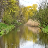 Kanał Wystawowy w rejonie ul. Międzynarodowej