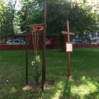 Dąb Katyński