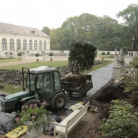 Zakładanie ogrodu holenderskiego