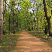 Ogród Modernistyczny, część Naturalistyczna